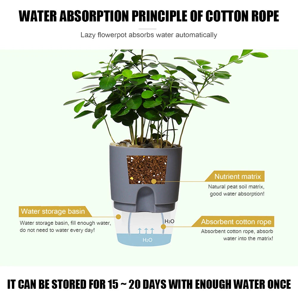 Self Watering Pots